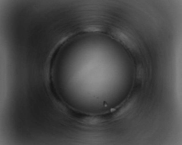 X0000095680351200801081233