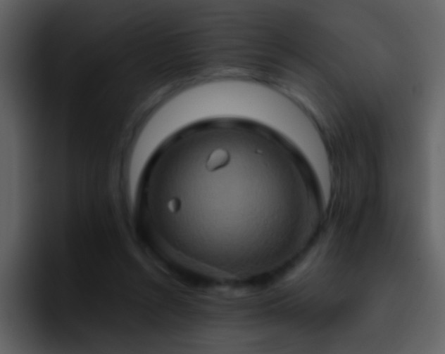 X0000095680352200801081233