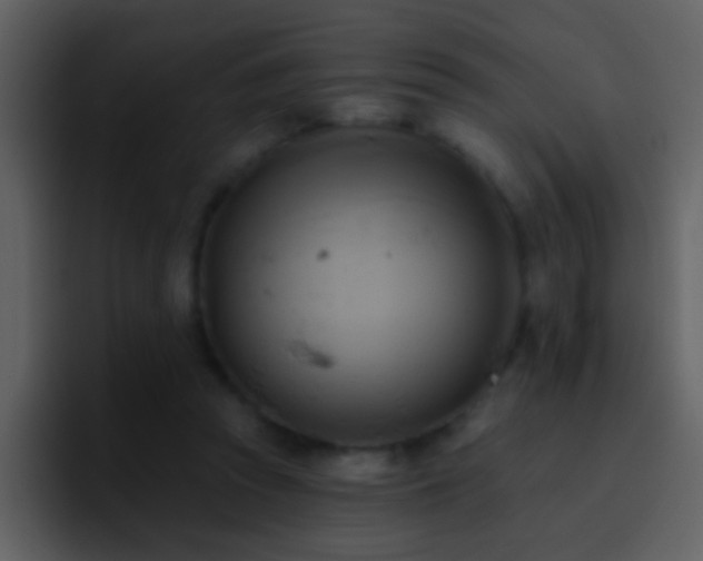 X0000095680353200801081233