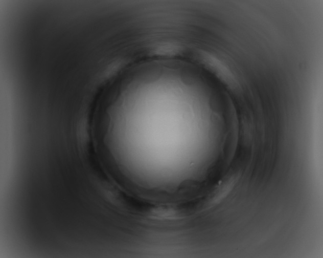 X0000095680354200801081233