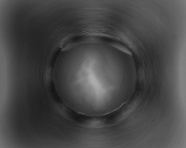 X0000095680356200801081233