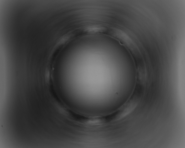 X0000095680357200801081233