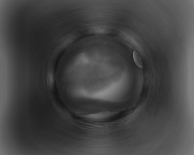 X0000095680358200801081233