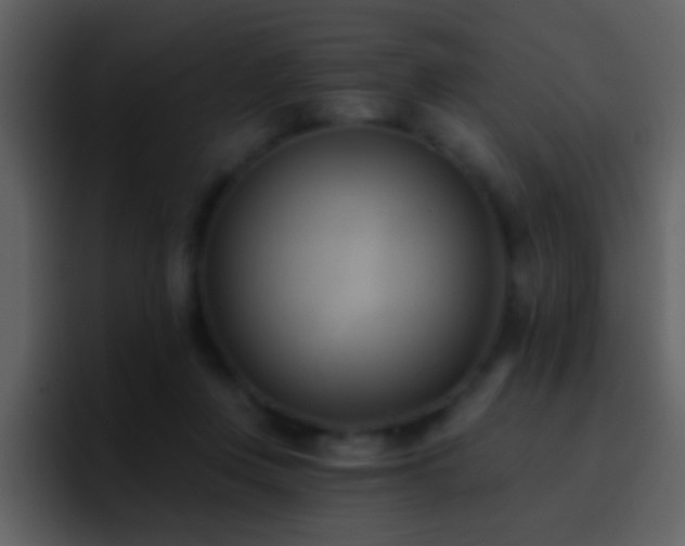 X0000095680359200801081233