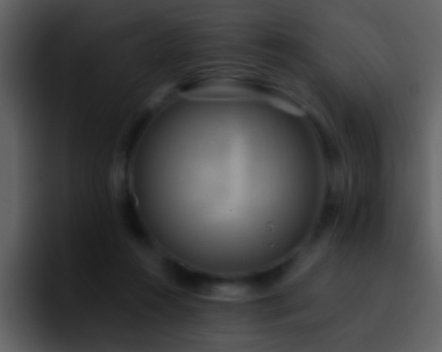 X0000095680360200801081233