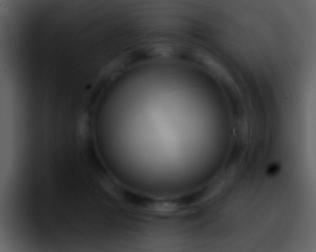 X0000095680361200801081233