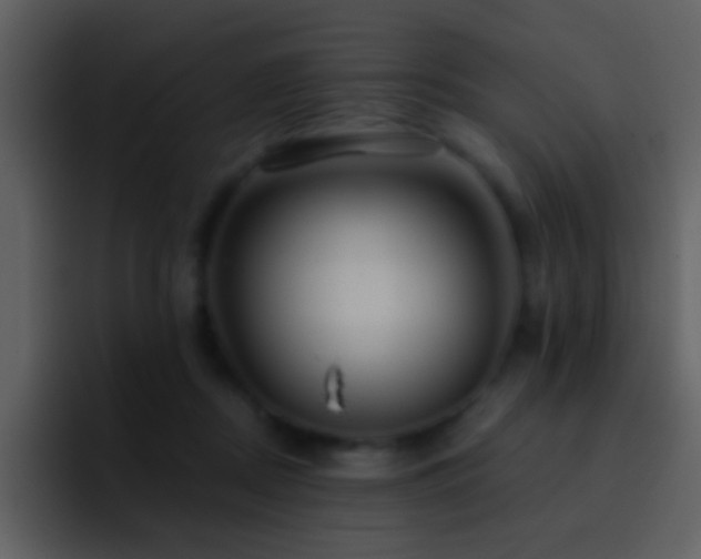 X0000095680362200801081233