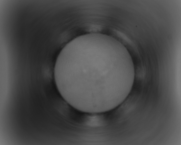 X0000095680370200801081233