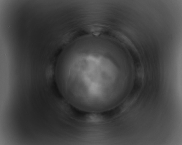 X0000095680372200801081233