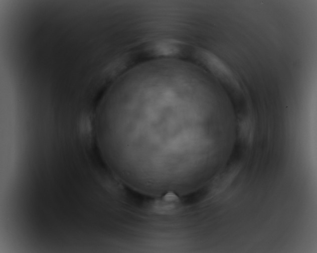 X0000095680373200801081233