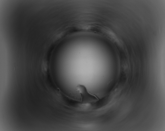 X0000095680374200801081233