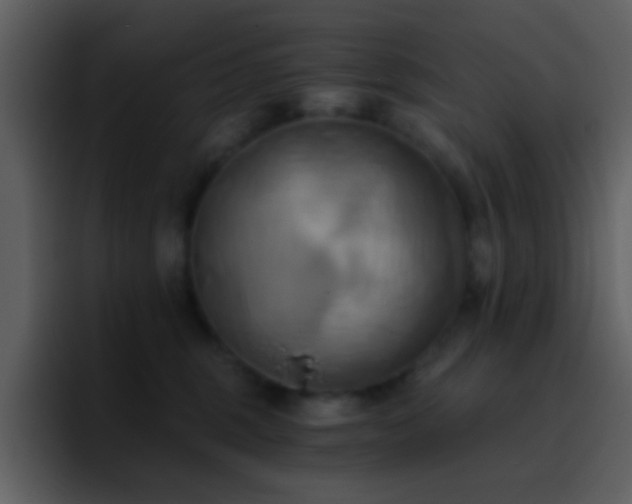 X0000095680375200801081233
