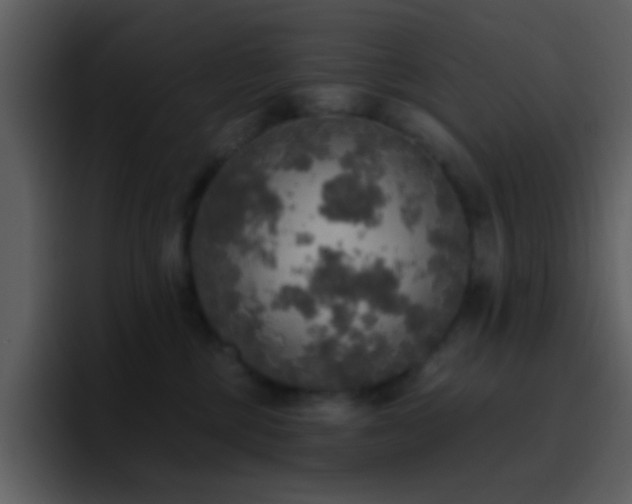 X0000095680377200801081234