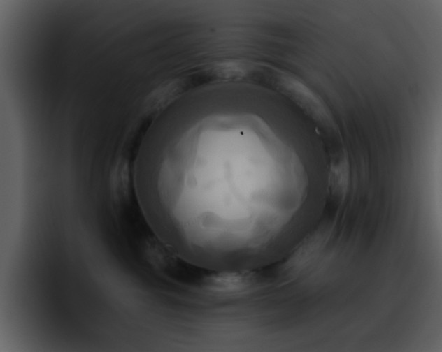 X0000095680381200801081234
