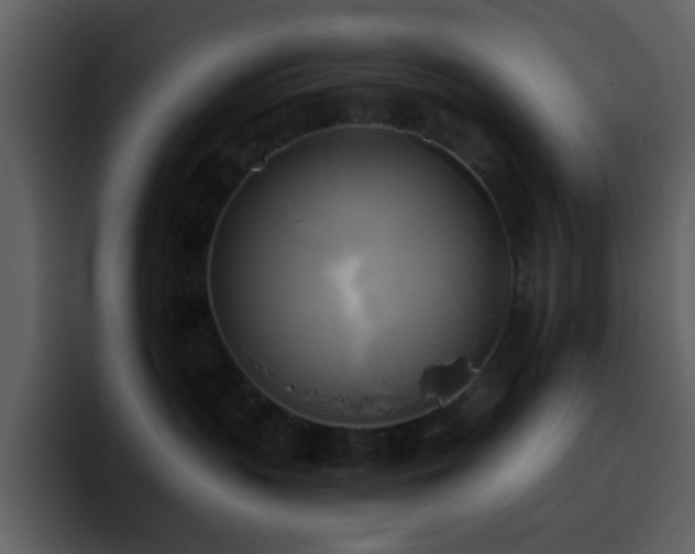 X0000095680383200801081234