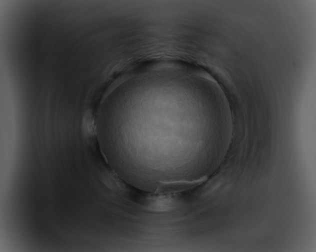 X0000095680384200801081234