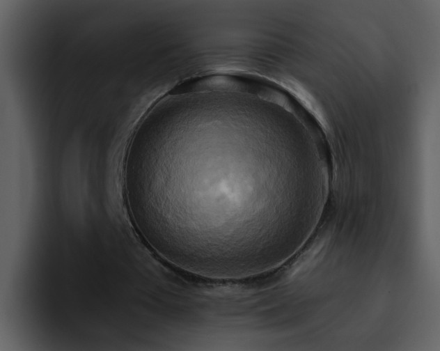 X0000095680385200801081233