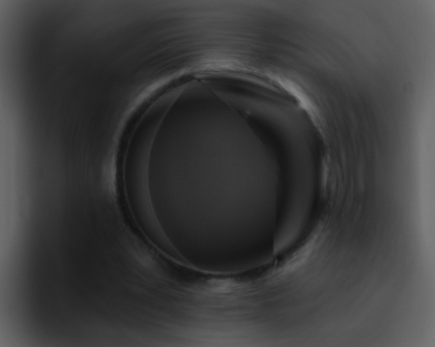 X0000095680391200801081233