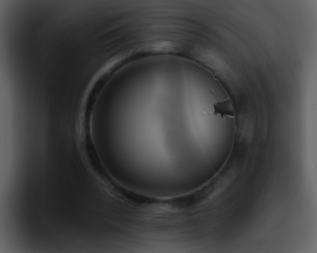 X0000095680392200801081233