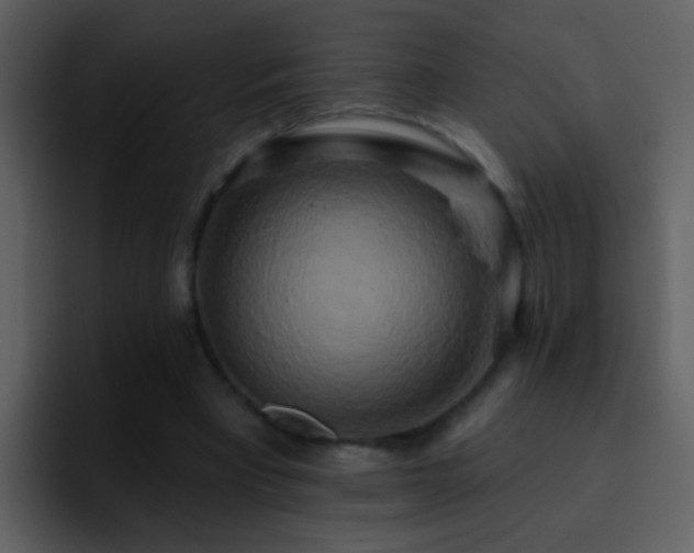 X0000095680393200801081233