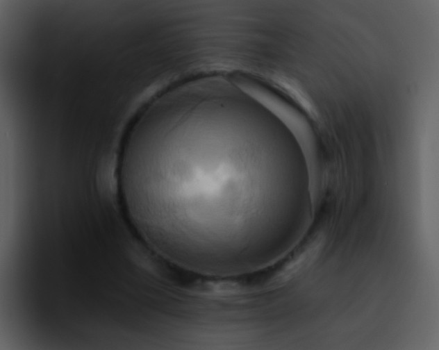 X0000095680395200801081233