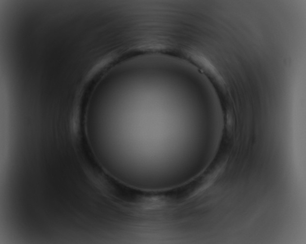 X0000095680396200801081233