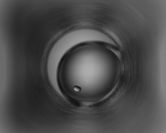 X0000095680399200801081233