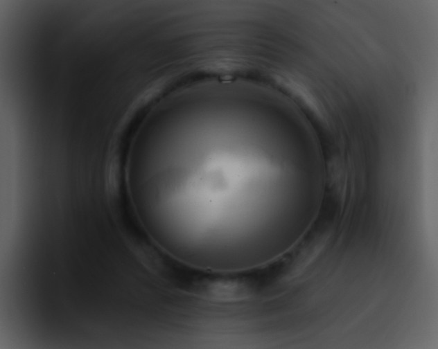 X0000095680400200801081233