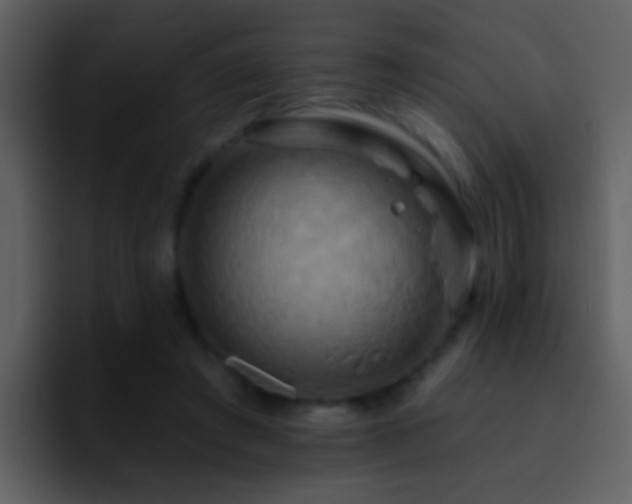 X0000095680401200801081233