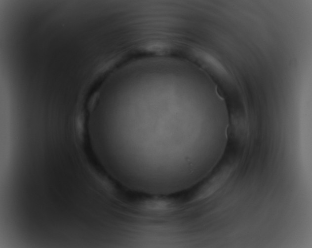 X0000095680404200801081233