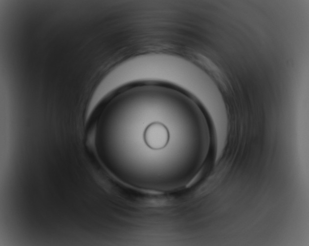 X0000095680405200801081233