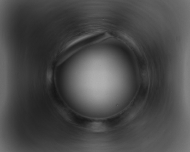 X0000095680406200801081233