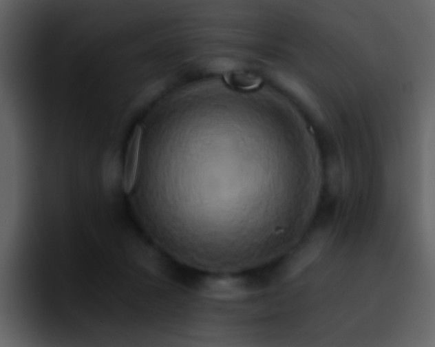 X0000095680407200801081233