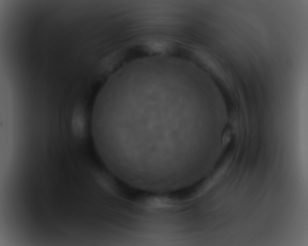 X0000095680408200801081233