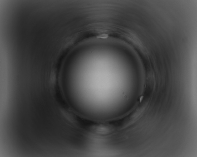 X0000095680412200801081233