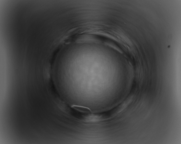 X0000095680413200801081233