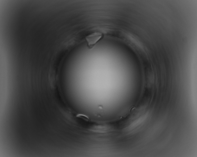 X0000095680414200801081233