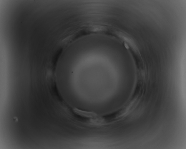 X0000095680415200801081233