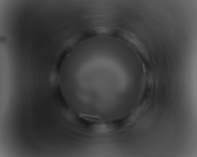 X0000095680419200801081233