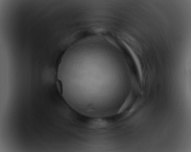 X0000095680421200801081233