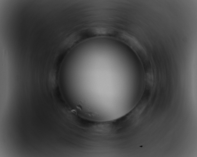 X0000095680422200801081232