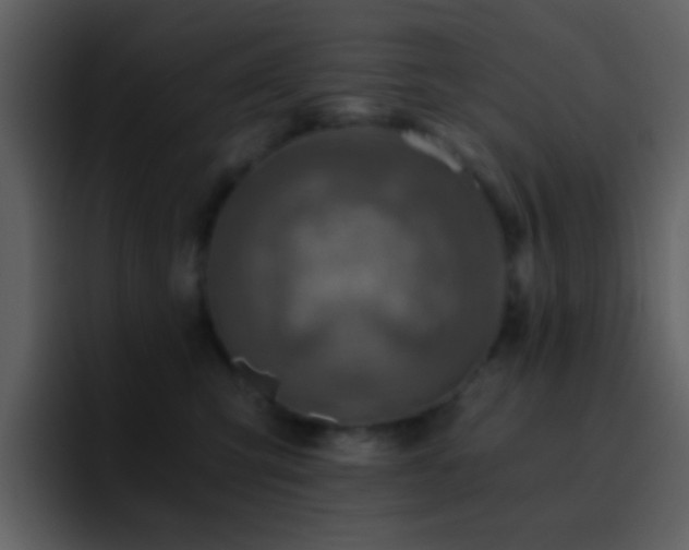 X0000095680423200801081232