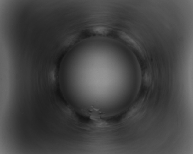 X0000095680424200801081232