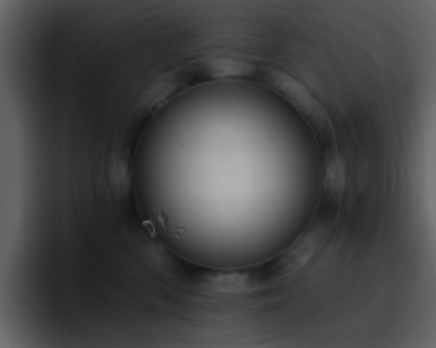X0000095680426200801081232
