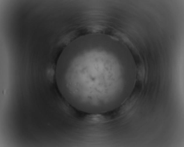 X0000095680427200801081232