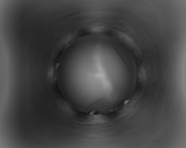 X0000095680428200801081232