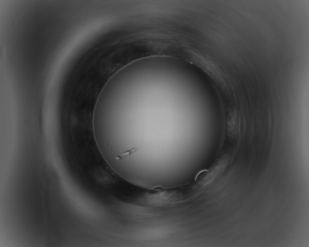 X0000095680430200801081232