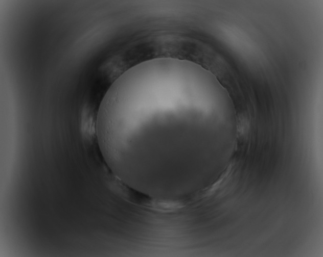 X0000095680431200801081232