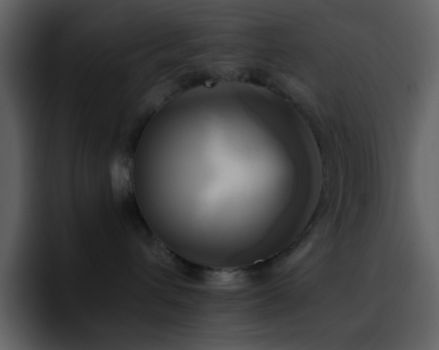 X0000095680432200801081232