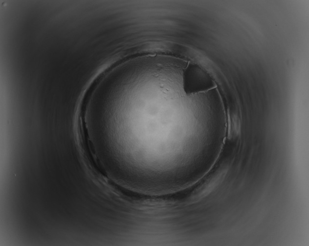 X0000095680435200801081232